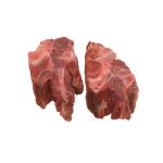 رقبة / Neck - India