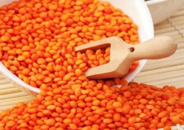 عدس أصفر ( كجم ) / Yellow Lentil ( kg