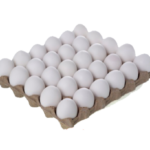 بيض ابيض / White Eggs