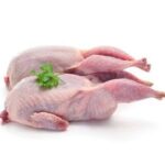 سمان / Quail