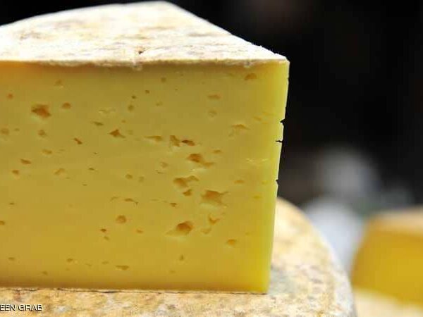 جبن رومي ( كجم ) / Romi ( kg ) Cheese